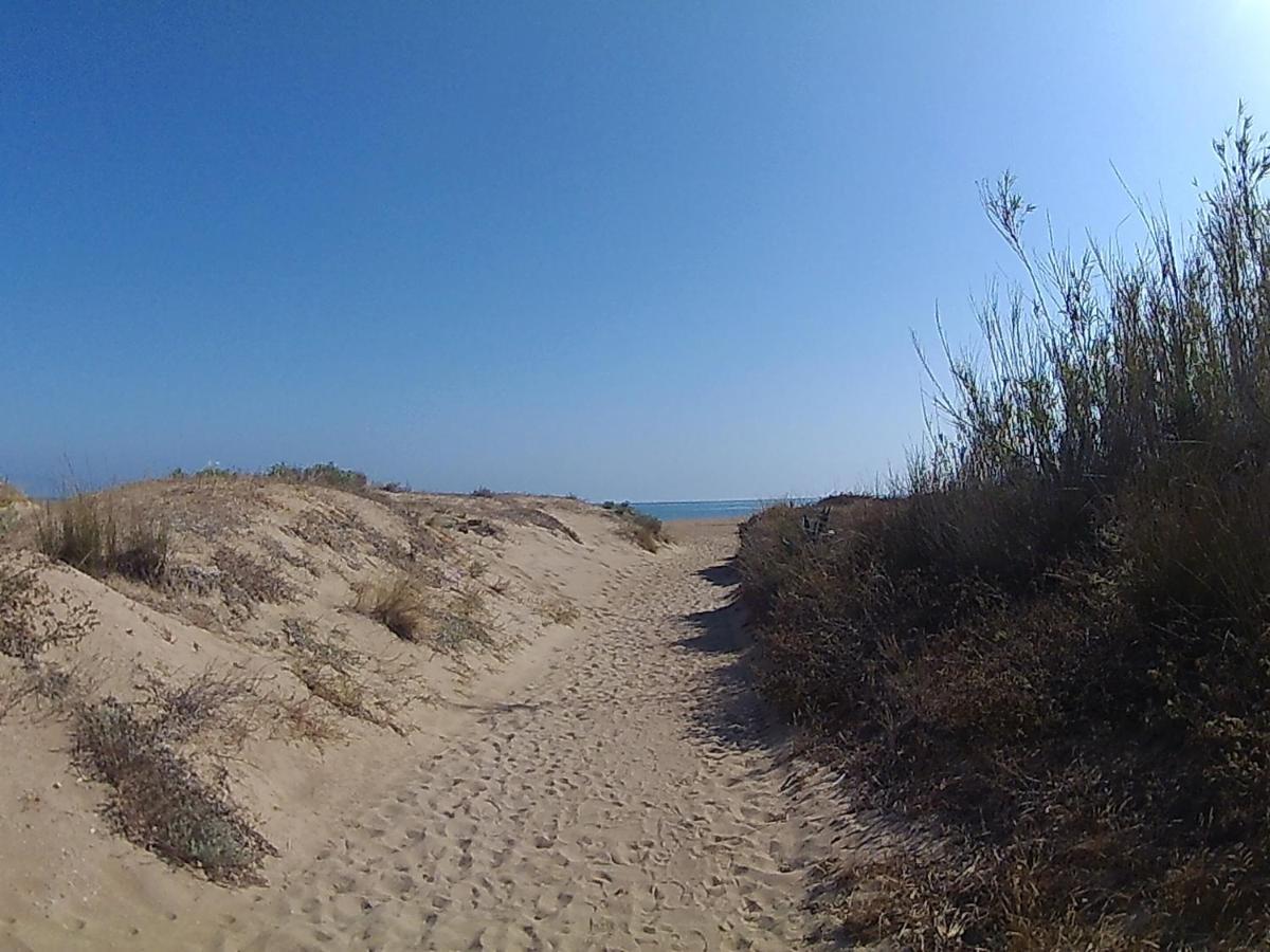 Bonito apartamento en primerla linea de playa Dénia Exterior foto